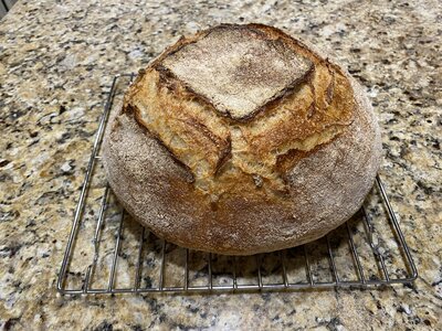 Tartine loaf from restarted starter