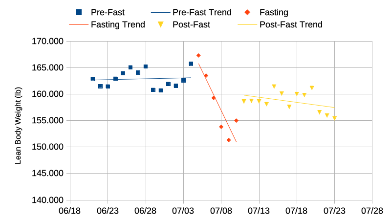 Lean mass change before, during, and after the fasting experiment